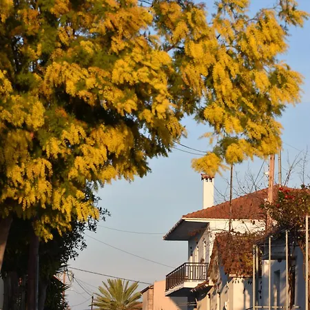 Apartment Mamadinas House Allimpanta *