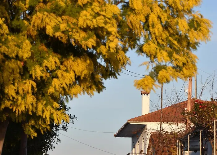 아파트 Mamadinas House Allimpanta *
