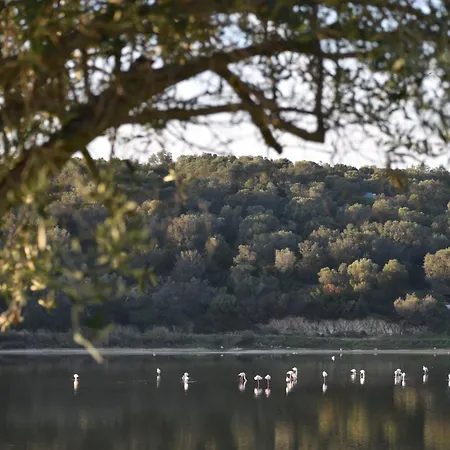 شقة Mamadinas House Allimpanta أمولياني