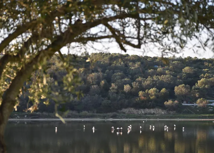 شقة Mamadinas House Allimpanta أمولياني